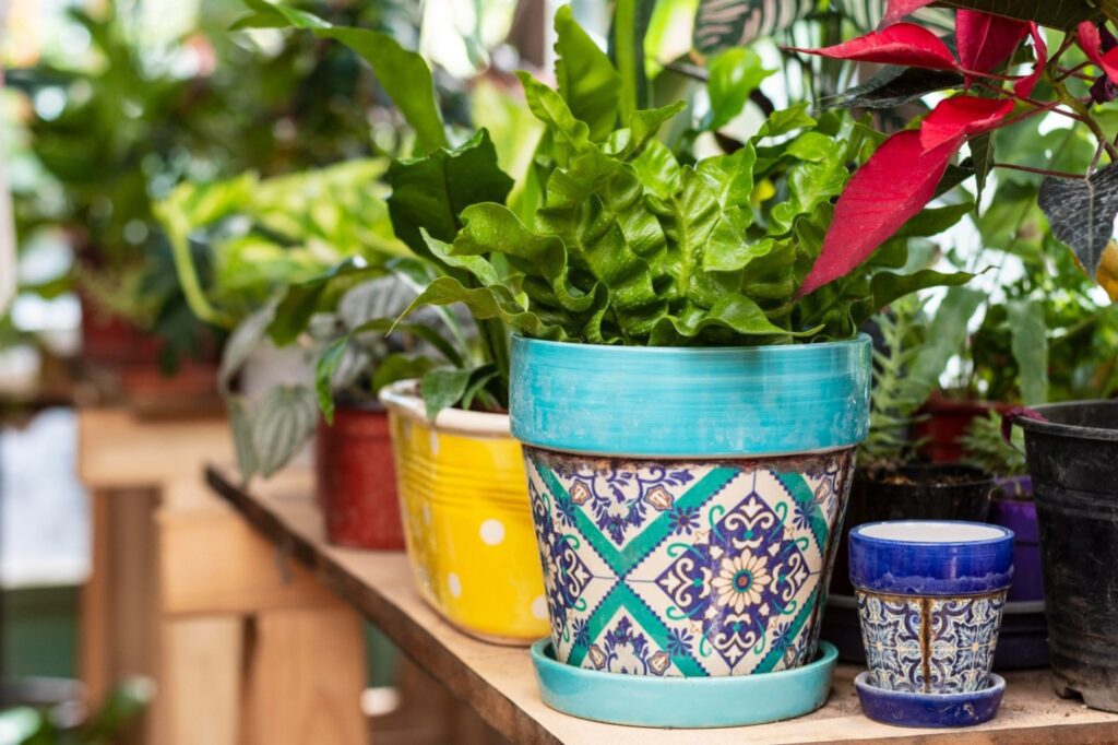 Container Gardens